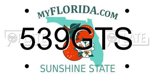 539GTS Florida License Plate
