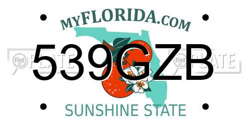 539GZB Florida License Plate
