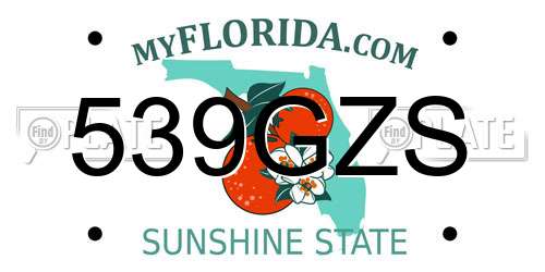 539GZS Florida License Plate