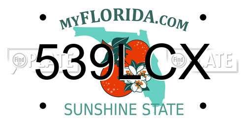 539LCX Florida License Plate