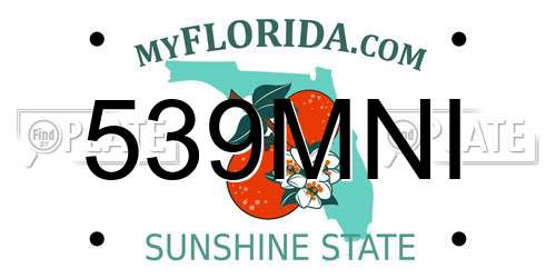 539MNI Florida License Plate