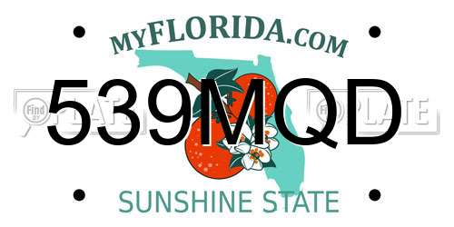 539MQD Florida License Plate