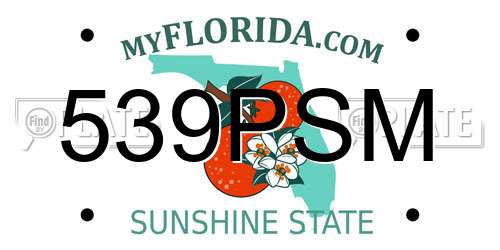 539PSM Florida License Plate