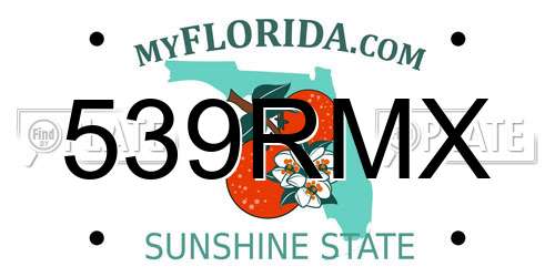 539RMX Florida License Plate