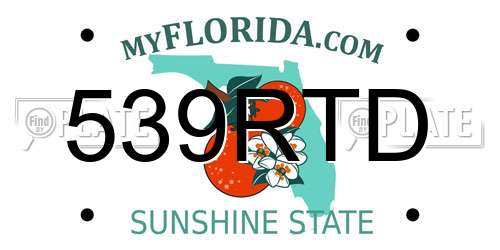 539RTD Florida License Plate