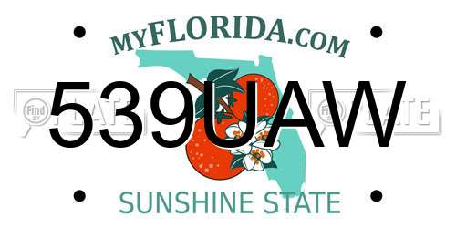 539UAW Florida License Plate