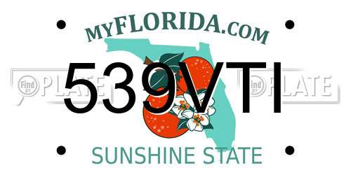 539VTI Florida License Plate