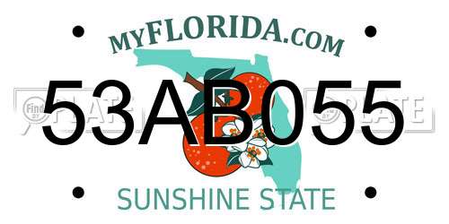 53AB055 Florida License Plate