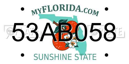 53AB058 Florida License Plate
