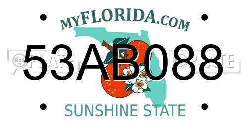 53AB088 Florida License Plate