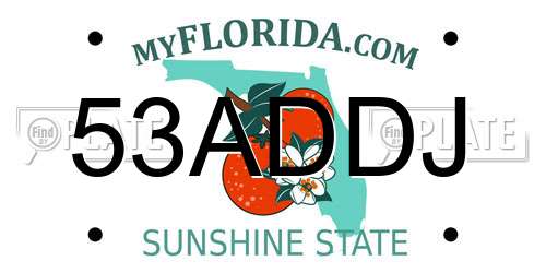 53ADDJ Florida License Plate