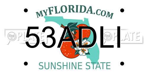 53ADLI Florida License Plate