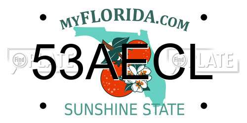 53AECL Florida License Plate