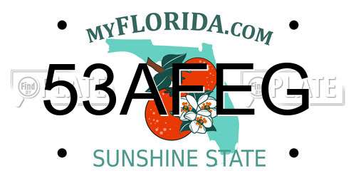 53AFEG Florida License Plate