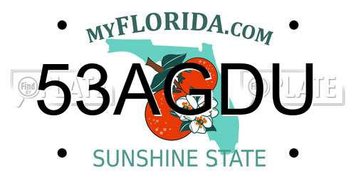 53AGDU Florida License Plate