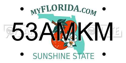 53AMKM Florida License Plate