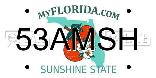 53AMSH Florida License Plate
