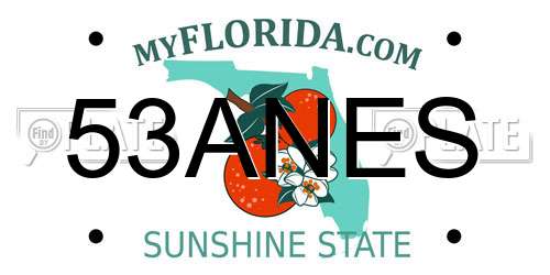 53ANES Florida License Plate