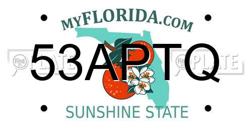 53APTQ Florida License Plate