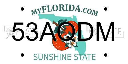 53AQDM Florida License Plate