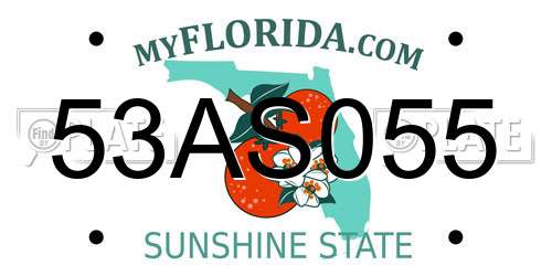 53AS055 Florida License Plate