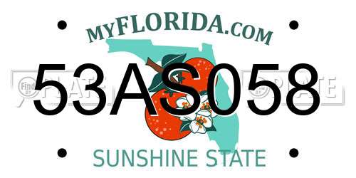 53AS058 Florida License Plate