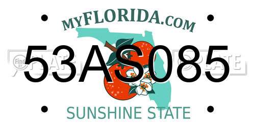 53AS085 Florida License Plate