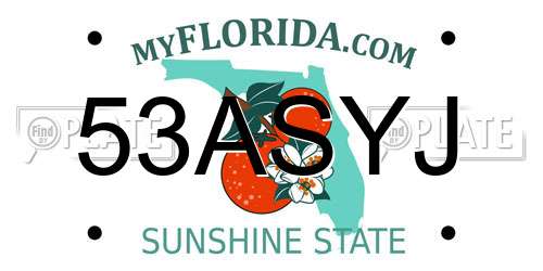 53ASYJ Florida License Plate