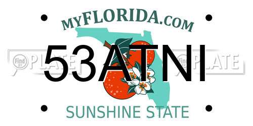 53ATNI Florida License Plate