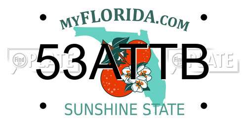 53ATTB Florida License Plate