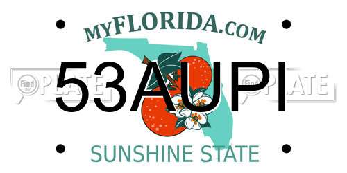 53AUPI Florida License Plate