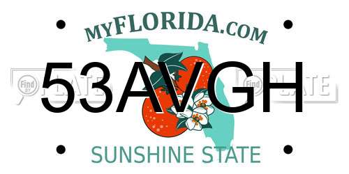 53AVGH Florida License Plate