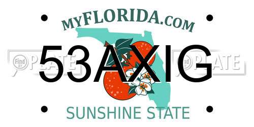 53AXIG Florida License Plate