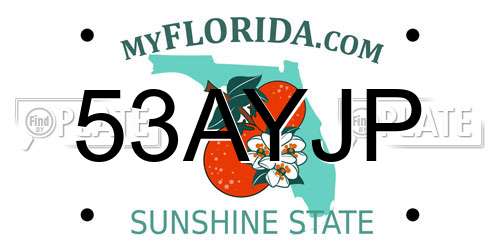 53AYJP Florida License Plate