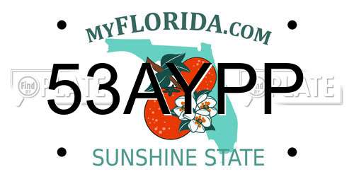 53AYPP Florida License Plate