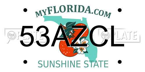 53AZCL Florida License Plate