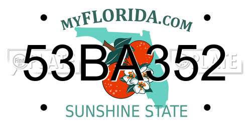 53BA352 Florida License Plate