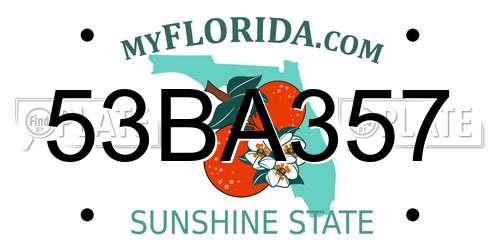 53BA357 Florida License Plate