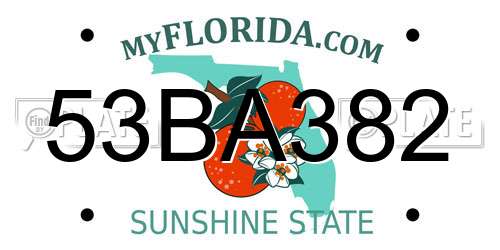 53BA382 Florida License Plate