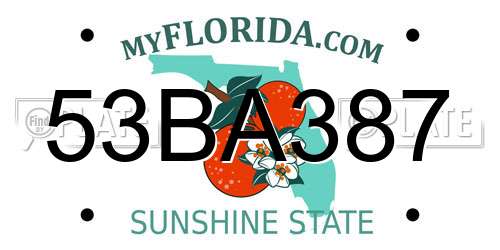53BA387 Florida License Plate