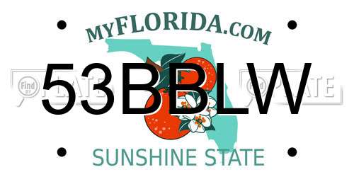 53BBLW Florida License Plate