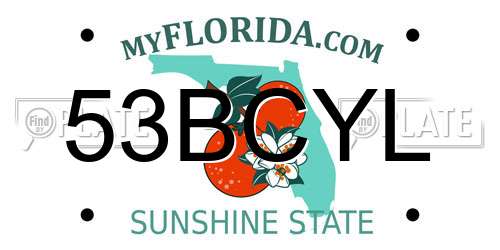 53BCYL Florida License Plate