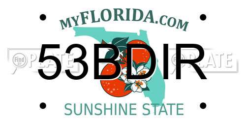 53BDIR Florida License Plate
