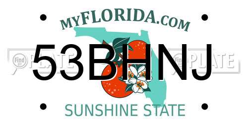 53BHNJ Florida License Plate