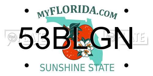 53BLGN Florida License Plate