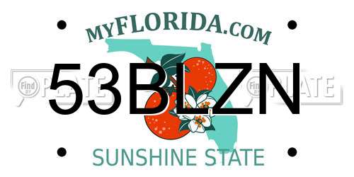 53BLZN Florida License Plate