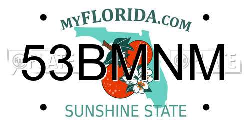 53BMNM Florida License Plate