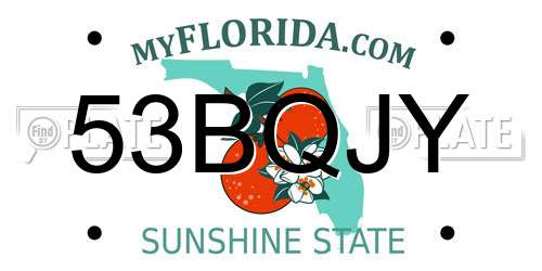 53BQJY Florida License Plate