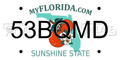 53BQMD Florida License Plate