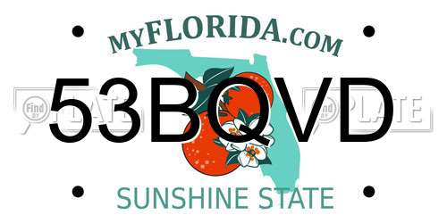 53BQVD Florida License Plate